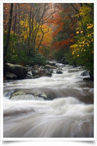 greenbrier stream - great smoky mountains