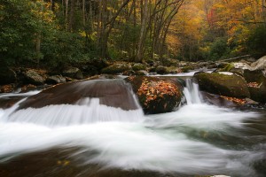 big creek great smoky mountains